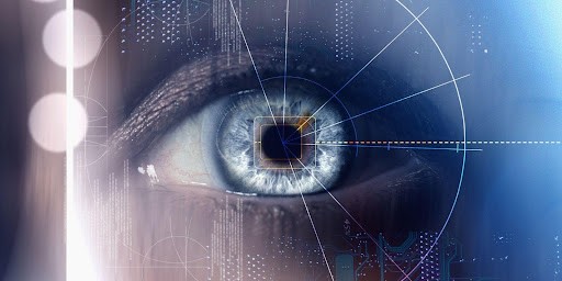A Brief Explanation of the Iris Scanner Technology