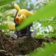 Pokemon Go Catch Castform Shiny